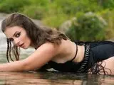 Shows chatte SiennaGravis